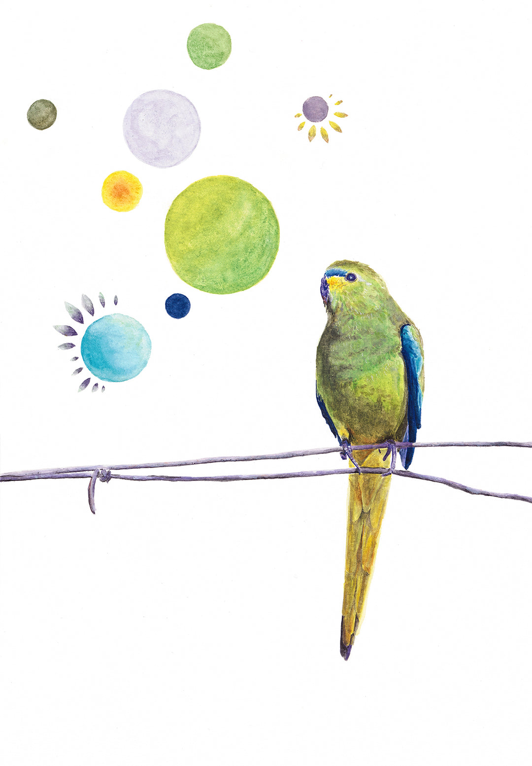 A Volery of Birds